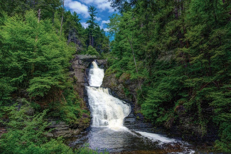 Summer Falls