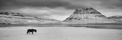 The Trek II by David Gardiner multi panel art