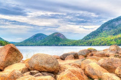 Two Humps by David Gardiner art print