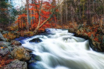 Wanaque Flow by David Gardiner art print