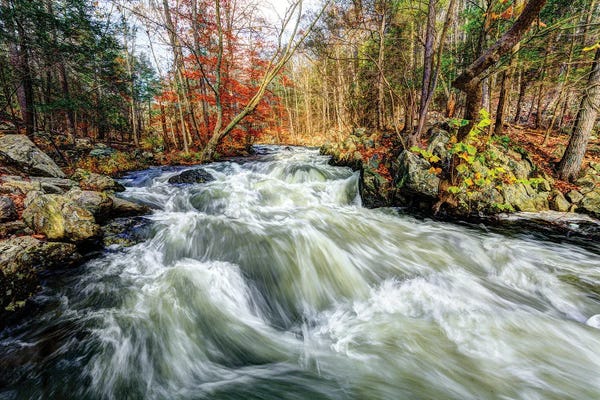 Waterfalls: Whitewater by David Gardiner