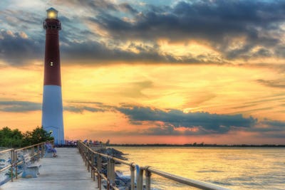 Old Barney by David Gardiner framed canvas print