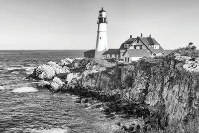 On Point by David Gardiner framed wall art