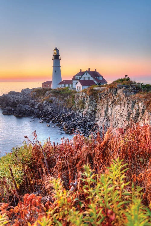 Portland View by David Gardiner wall art