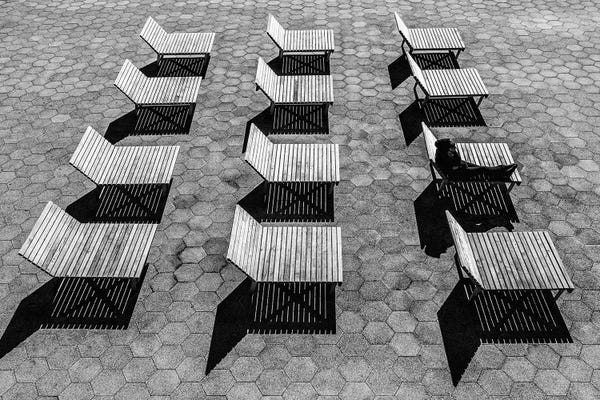 David Gardiner: Bakers Dozen by David Gardiner