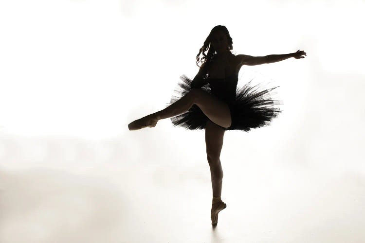 Ballerina Black by David Gardiner wall art