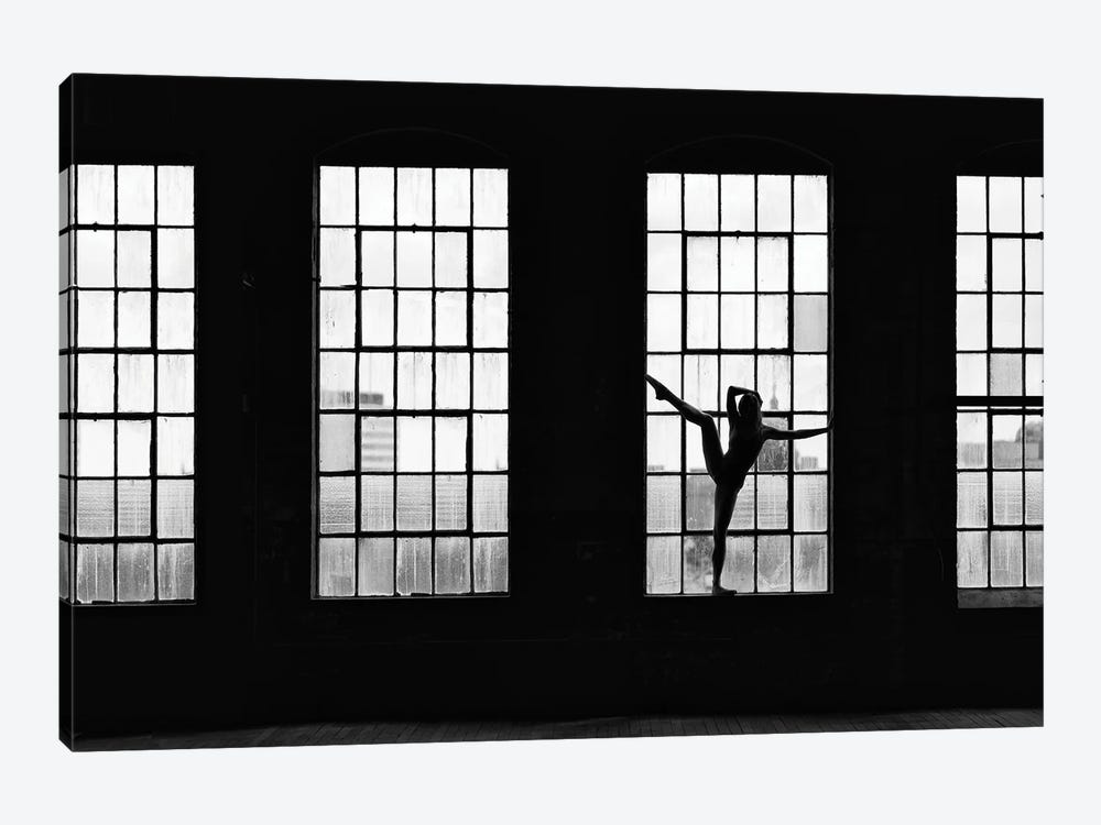 Dancer Pose by David Gardiner 1-piece Art Print