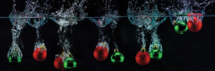 Festive Plunge by David Gardiner wall art