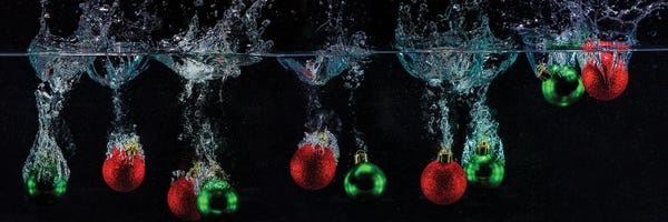 David Gardiner: Festive Plunge by David Gardiner