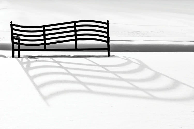 Musical Page by David Gardiner wall art