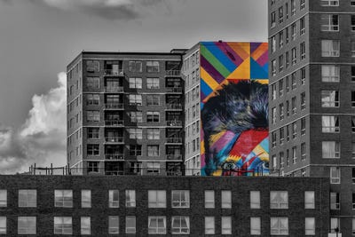 Peeking Out by David Gardiner art print