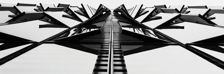 Scraper Look Up by David Gardiner wall art