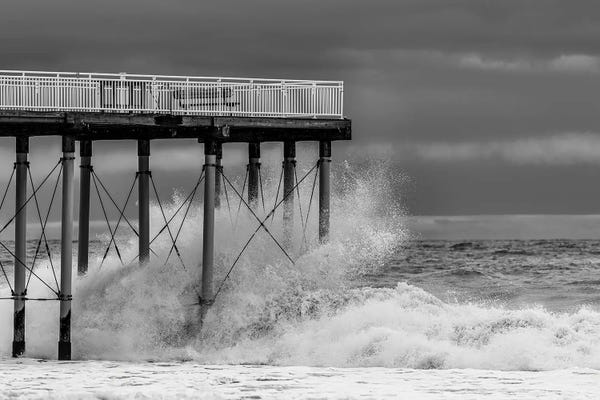David Gardiner: Against the Tide by David Gardiner