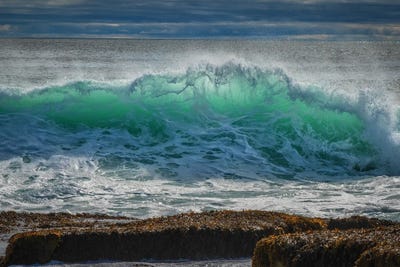 Backlit Green by David Gardiner framed canvas print