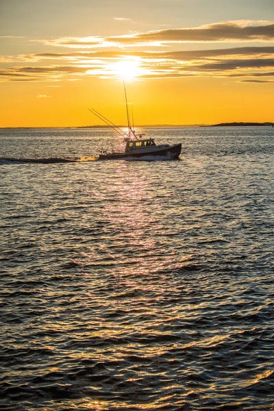 Coming Home by David Gardiner framed canvas print