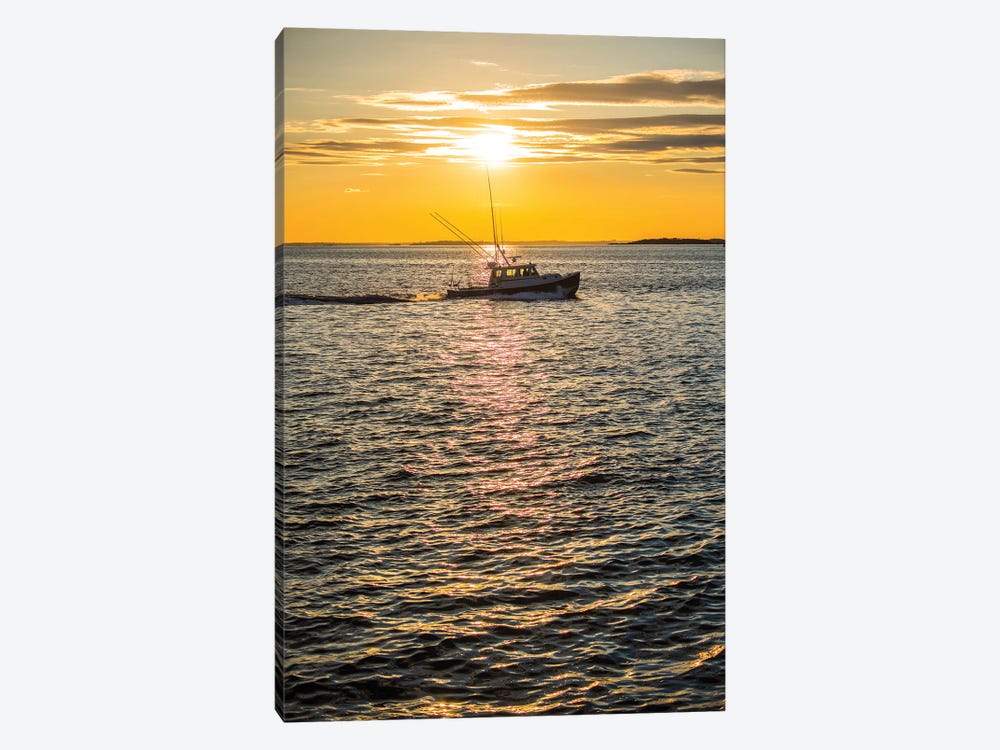 Coming Home by David Gardiner 1-piece Canvas Print