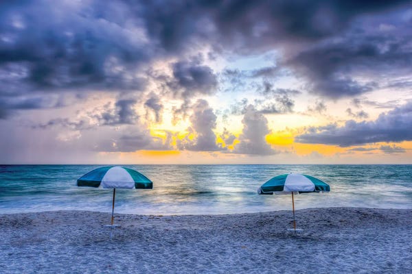David Gardiner: Dueling Umbrellas by David Gardiner