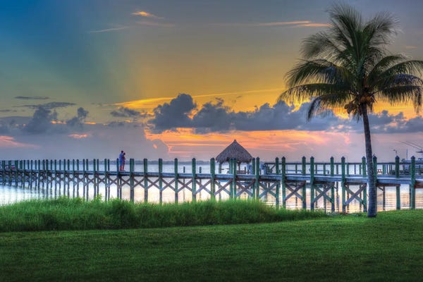 David Gardiner: Florida Colors by David Gardiner