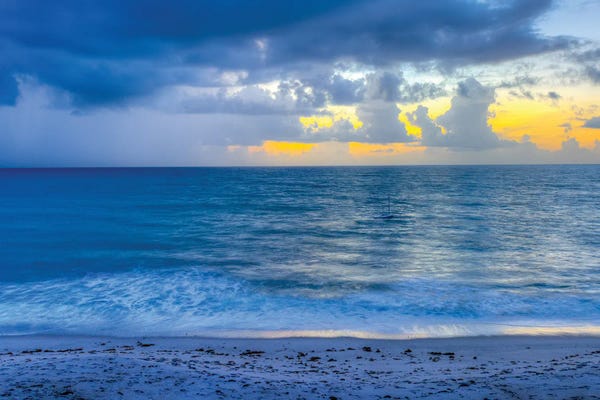 David Gardiner: Florida Sunrise by David Gardiner