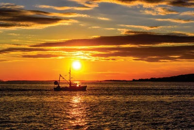Greet the Day by David Gardiner framed canvas print
