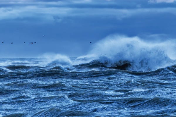 David Gardiner: Heavy Seas by David Gardiner