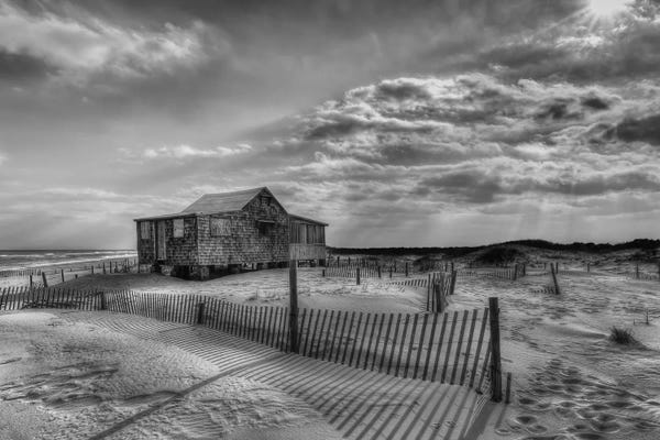 David Gardiner: Judges Shack by David Gardiner
