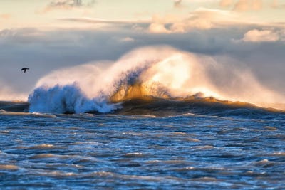 Light Waves by David Gardiner framed canvas print