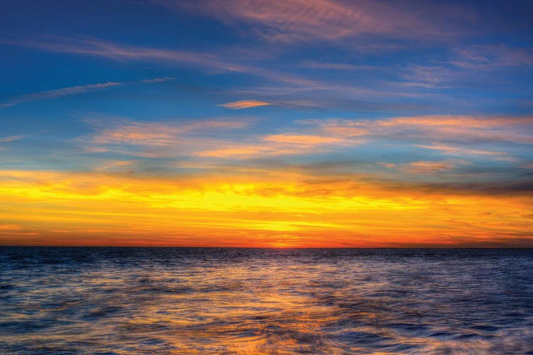 Natural Beauty by David Gardiner wall art