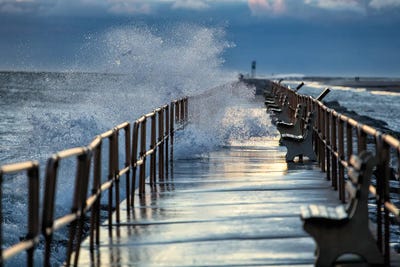 Rough Day by David Gardiner art print