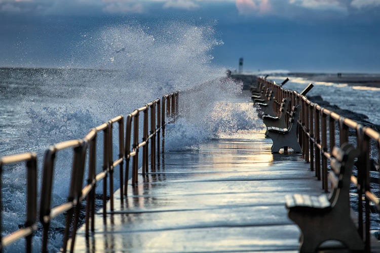 Rough Day by David Gardiner wall art