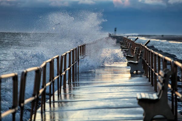 David Gardiner: Rough Day by David Gardiner