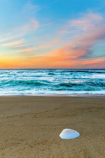 Shell Game by David Gardiner art print