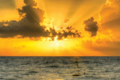 Vero Beach Sun Up by David Gardiner art print