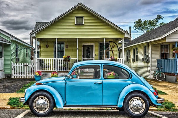 Volkswagen: Bug Out Front by David Gardiner