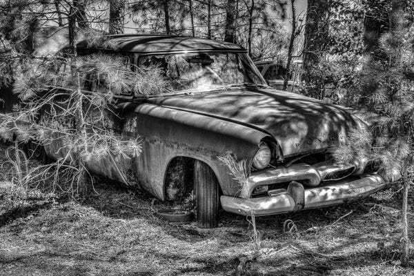 David Gardiner: In the Rough by David Gardiner