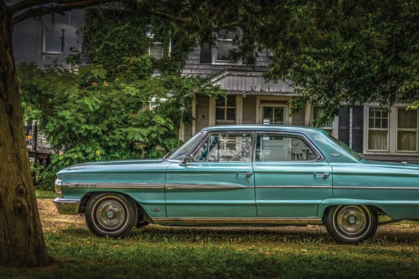 David Gardiner: Old Beauty by David Gardiner