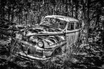 Seen Better Days by David Gardiner art print