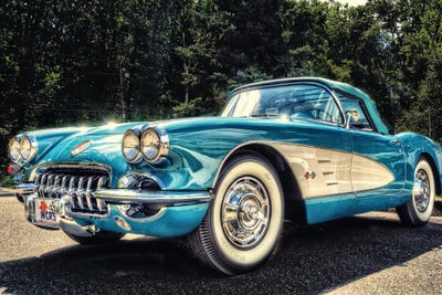 Sleek by David Gardiner art print