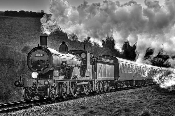 Trains: Steam Days by David Gardiner