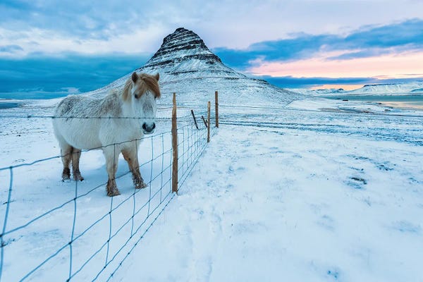 Kirkjufell: Kirkjufell Morn by David Gardiner