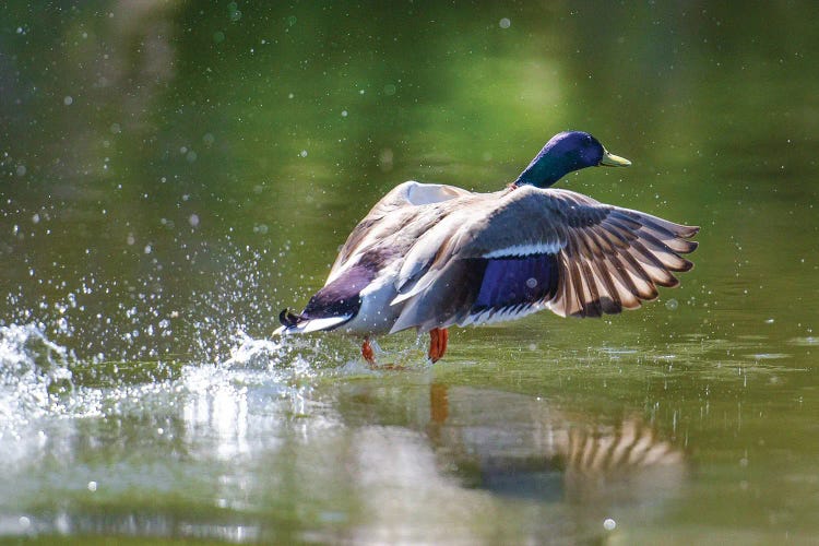 Lift off