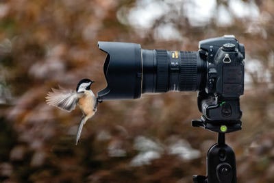 Smile by David Gardiner art print