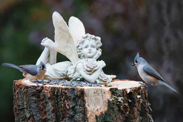 Titmice: Titmouse Lunch by David Gardiner