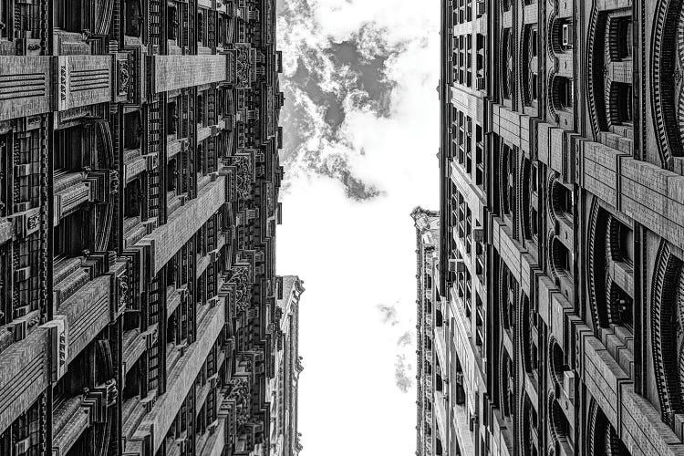 Boxed In by David Gardiner wall art