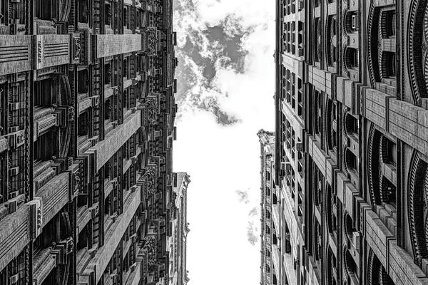 David Gardiner: Boxed In by David Gardiner