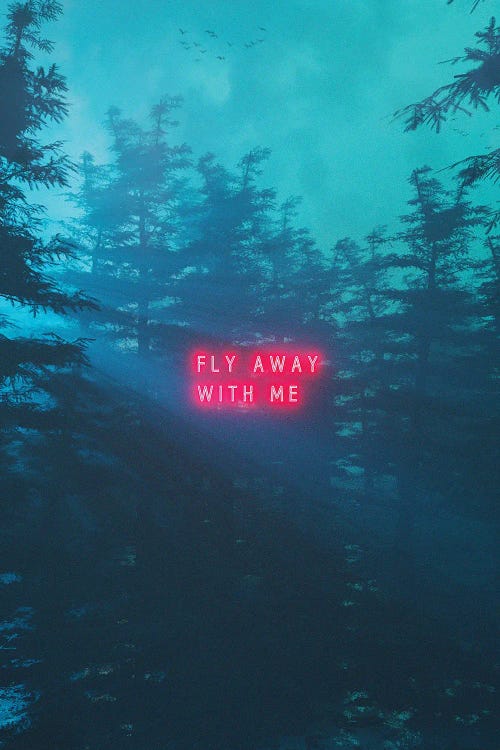 Fly Away