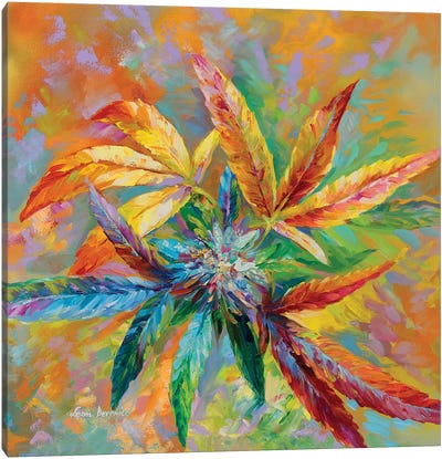Marijuana Art  Canvas Art Print - Marijuana Art