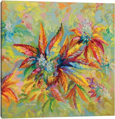 Marijuana Buds & Leaves Canvas Art Print - Leon Devenice