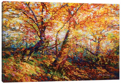 Autumn Memories Canvas Art Print - Autumn Art