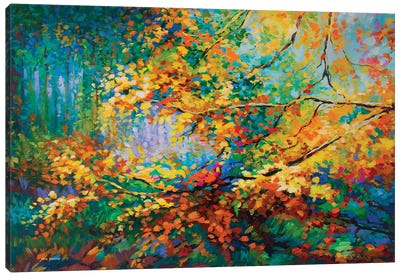 Autumn Memories Canvas Art Print - Leon Devenice